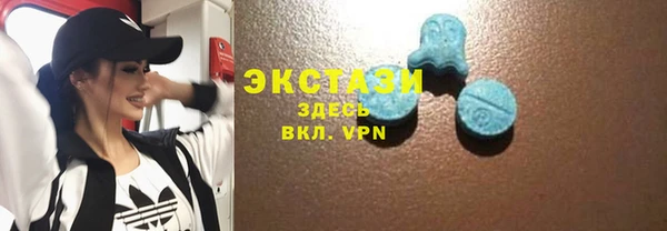 первитин Богородицк