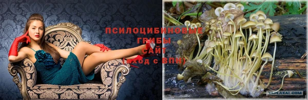 марихуана Белокуриха